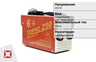 Сварочный аппарат Торус 250 А универсальный в Уральске